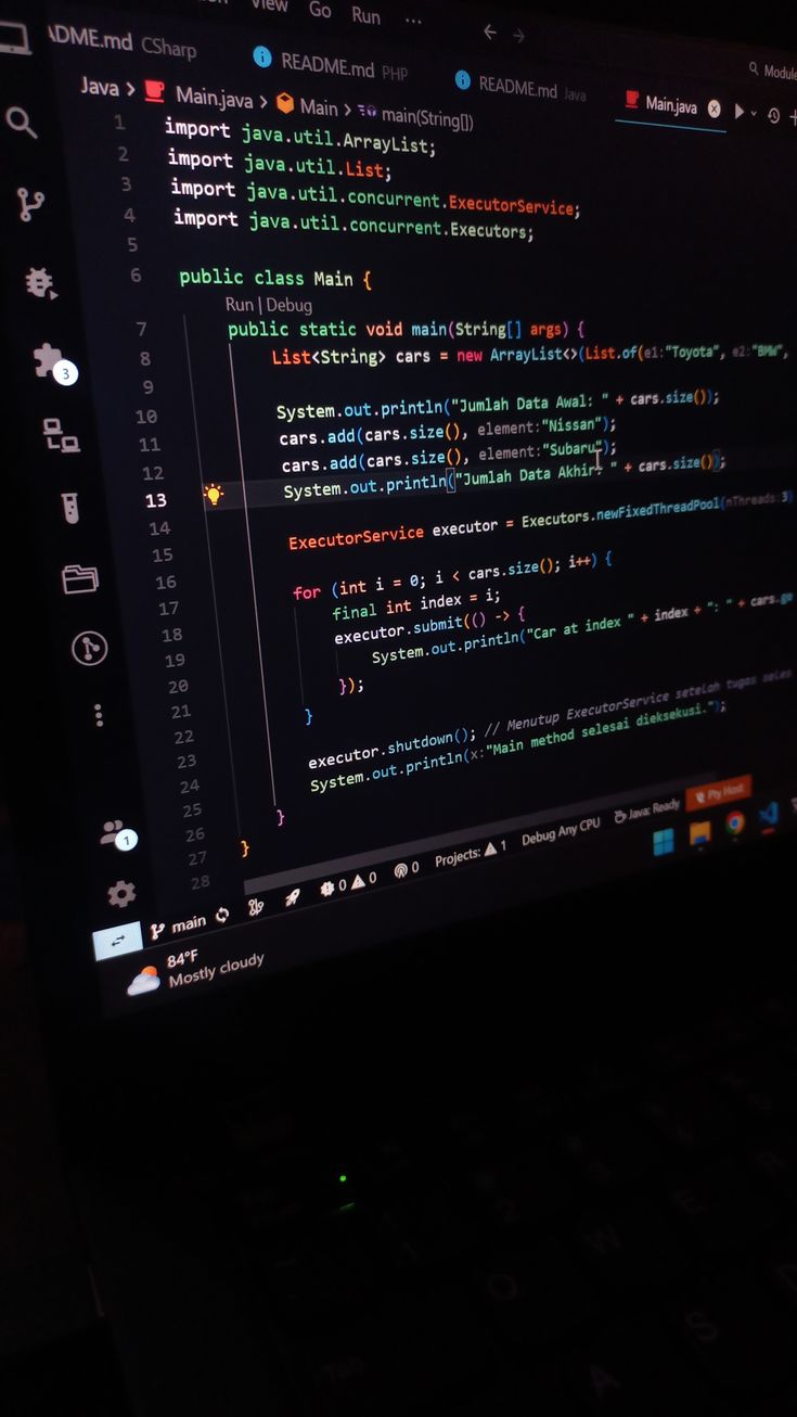 Software Development